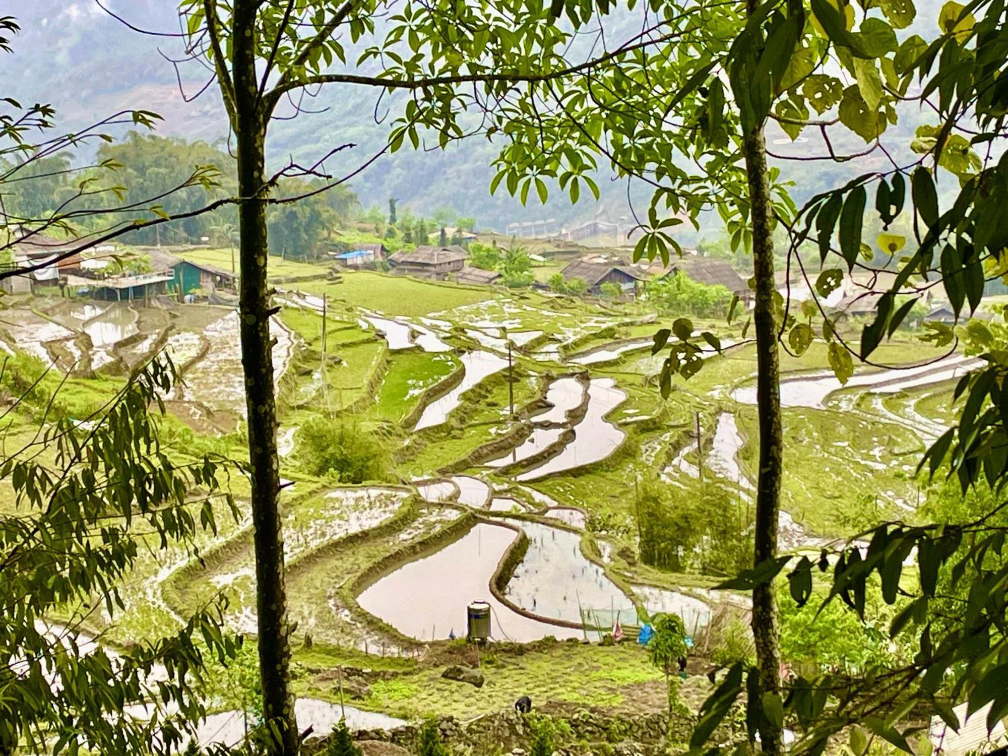 Sue Pa Family Trekking Homestay Sa Pa Kültér fotó