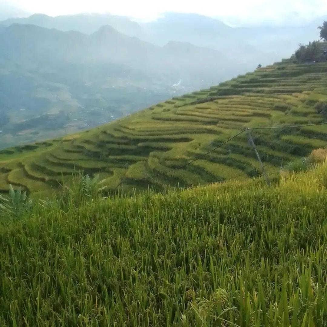 Sue Pa Family Trekking Homestay Sa Pa Kültér fotó