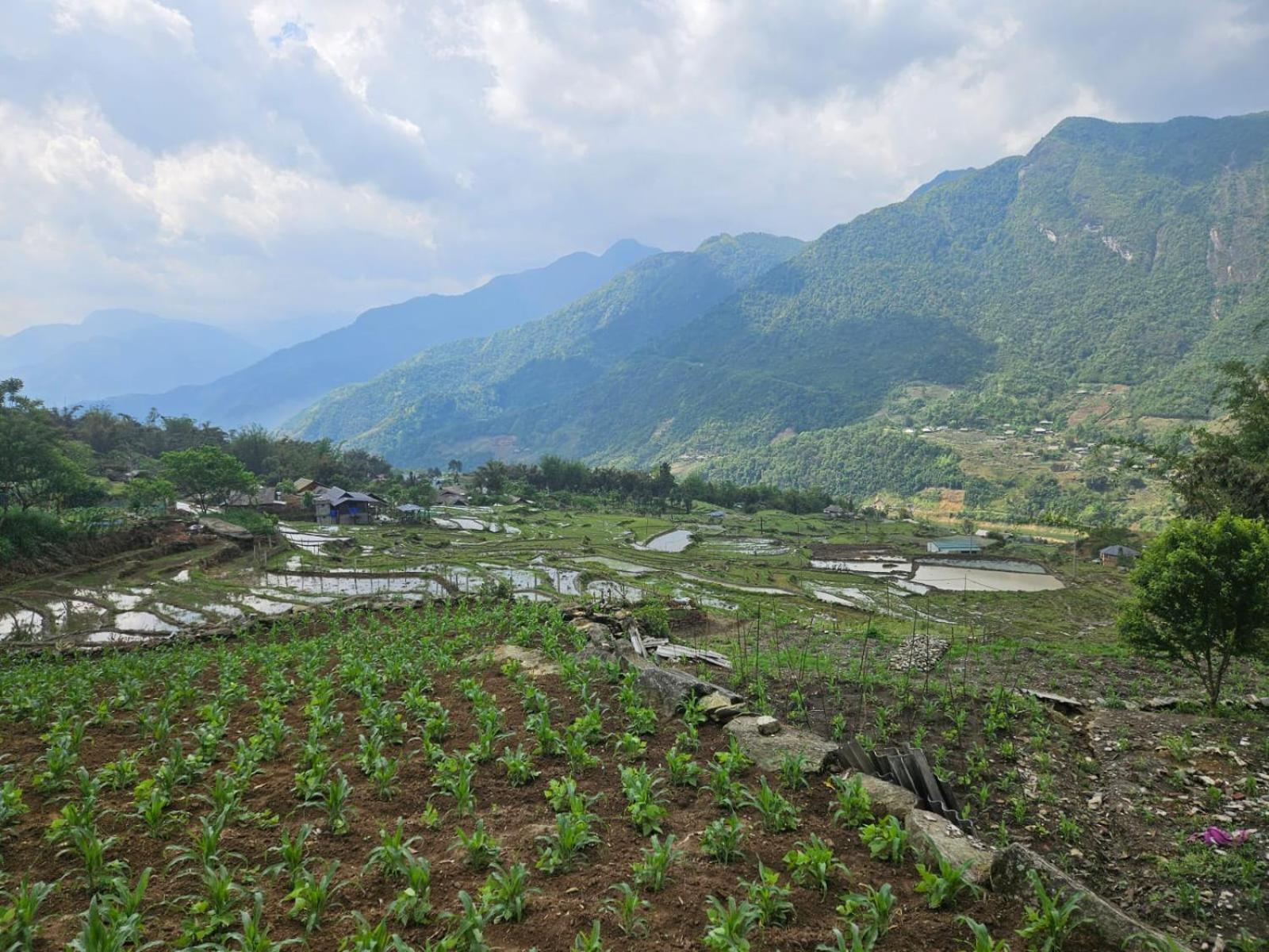 Sue Pa Family Trekking Homestay Sa Pa Kültér fotó